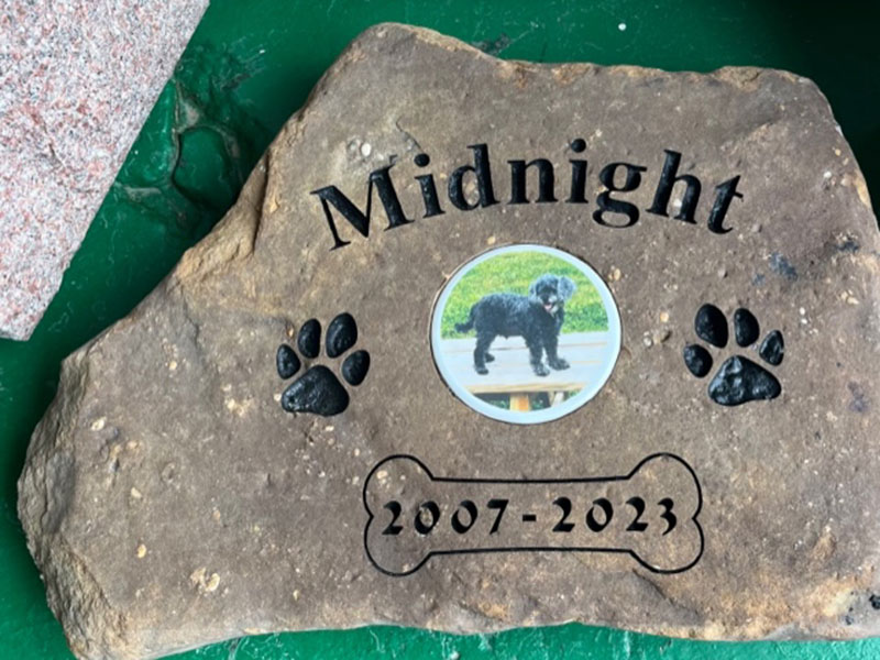 midnight Work dog